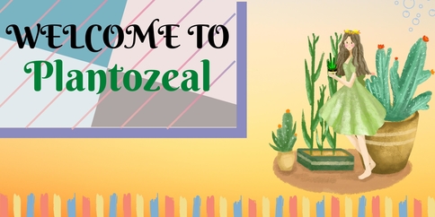 about plantozeal