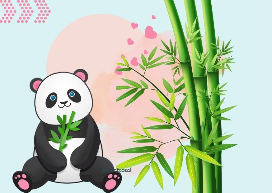 Types of Bamboo House Plants