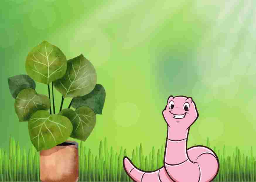 Are earthworms good for plants